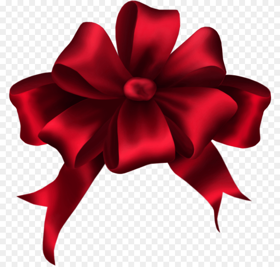 Orig Kokardy Bows, Flower, Petal, Plant, Maroon Free Transparent Png