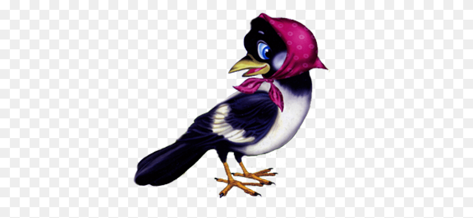 Orig Moi Clip Art, Animal, Beak, Bird, Jay Png