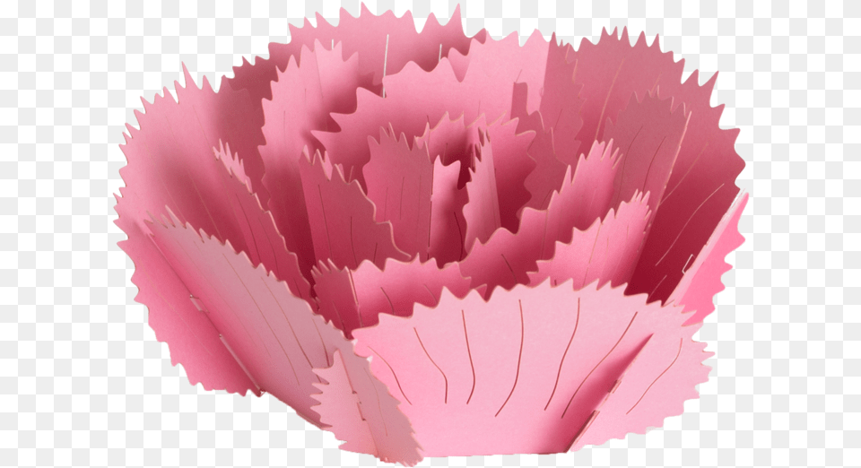Origami, Carnation, Flower, Plant Free Transparent Png