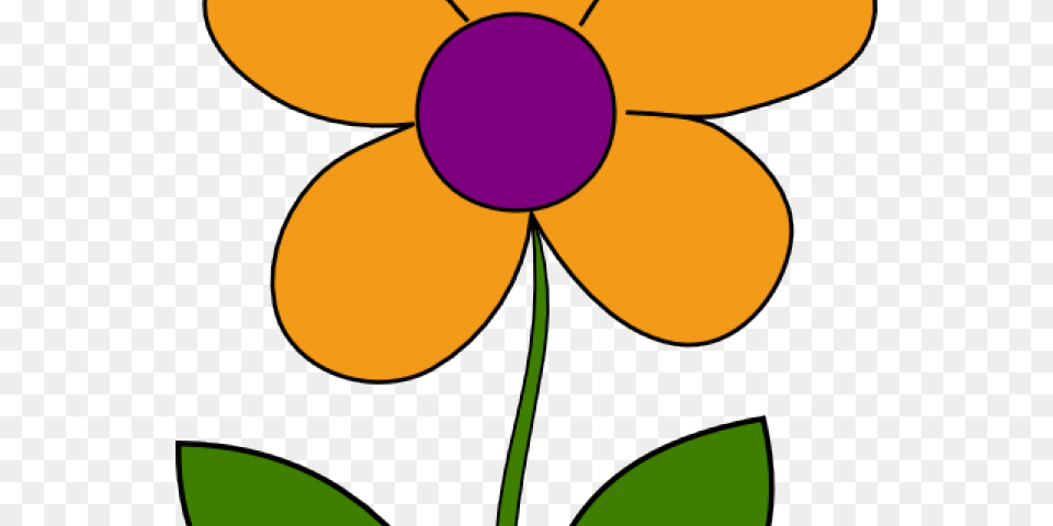 Original, Anemone, Daisy, Flower, Petal Free Png