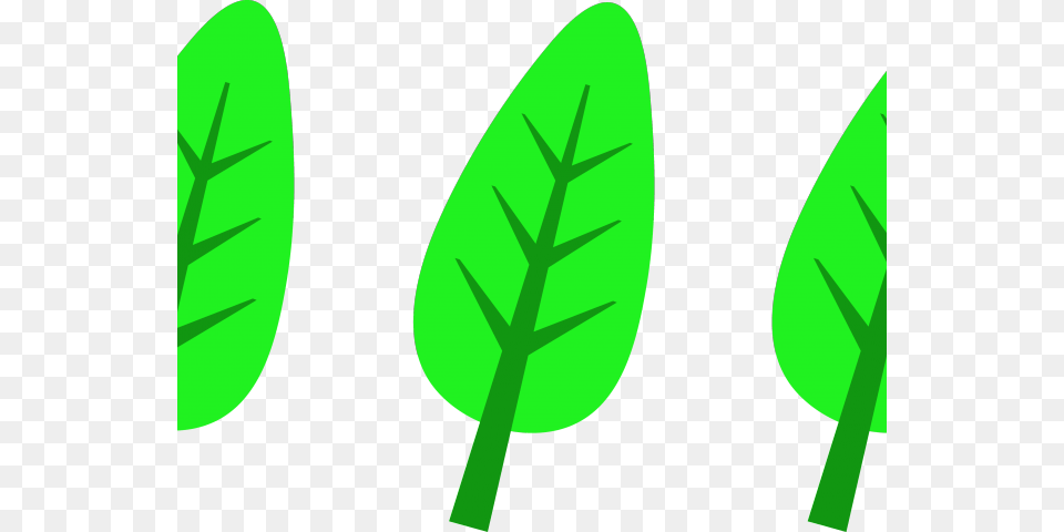 Original, Herbal, Herbs, Leaf, Plant Png Image
