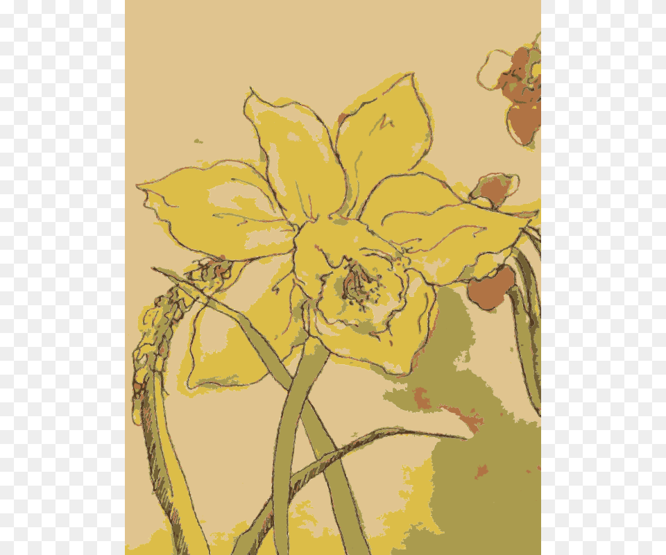 Original Aiflowers, Daffodil, Flower, Plant, Art Free Png