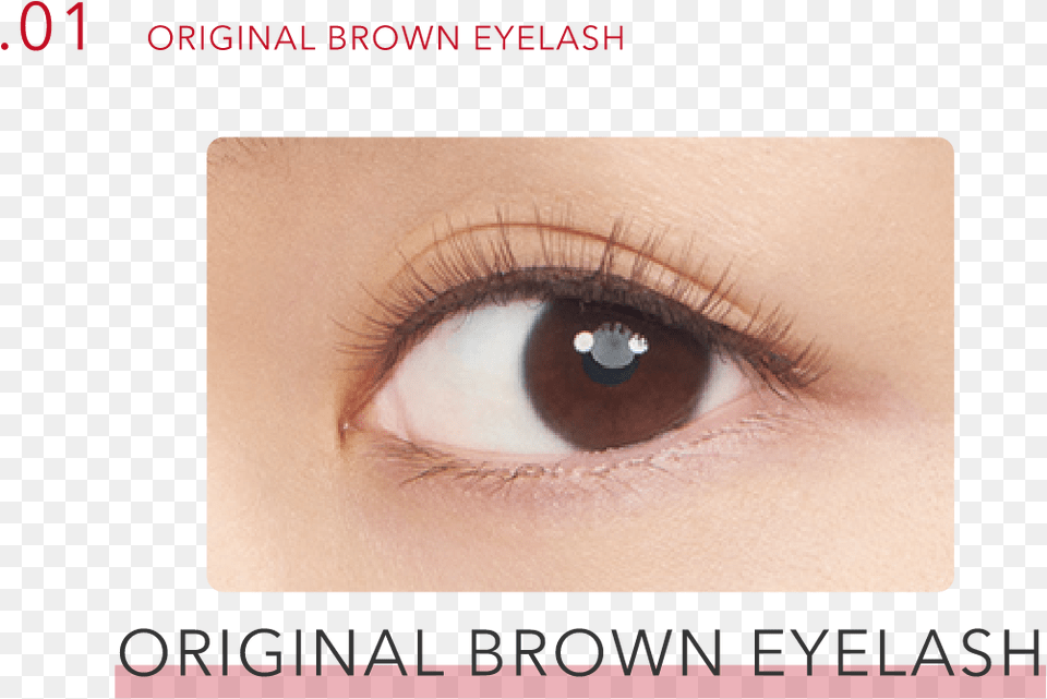 Original Brown Eyelash Eye Shadow, Person, Contact Lens, Face, Head Free Png