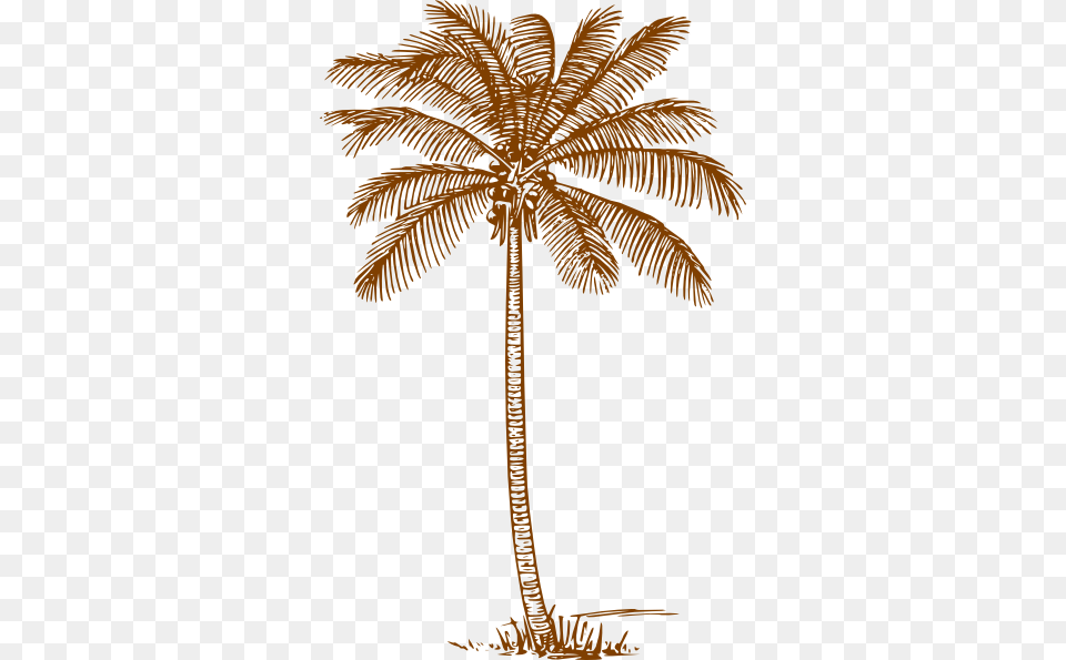 Original Clip Art File Palm Tree Svg Images Downloading, Palm Tree, Plant, Animal, Bird Free Transparent Png