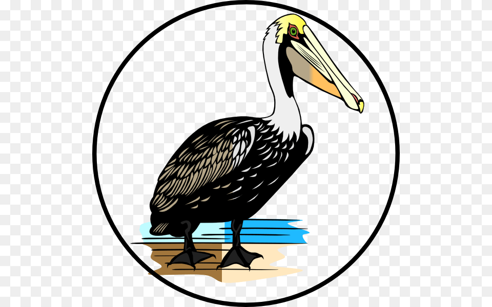 Original Clip Art File Pelican Svg Images Downloading, Animal, Bird, Waterfowl Free Png Download