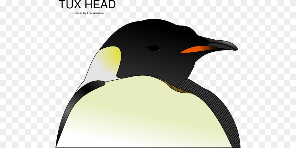 Original Clip Art File Penguin Head Svg, Animal, Bird, King Penguin, Clothing Png Image