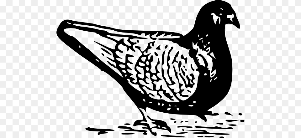 Original Clip Art File Pigeon Svg Downloading, Animal, Bird, Dove Free Png