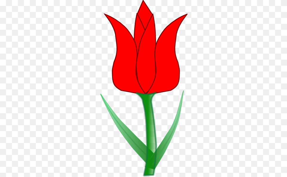 Original Clip Art File Tulip Svg Downloading, Flower, Plant, Petal, Bow Free Transparent Png