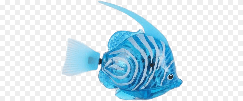 Original Fish Cat Toy Fish, Angelfish, Animal, Sea Life, Shark Png