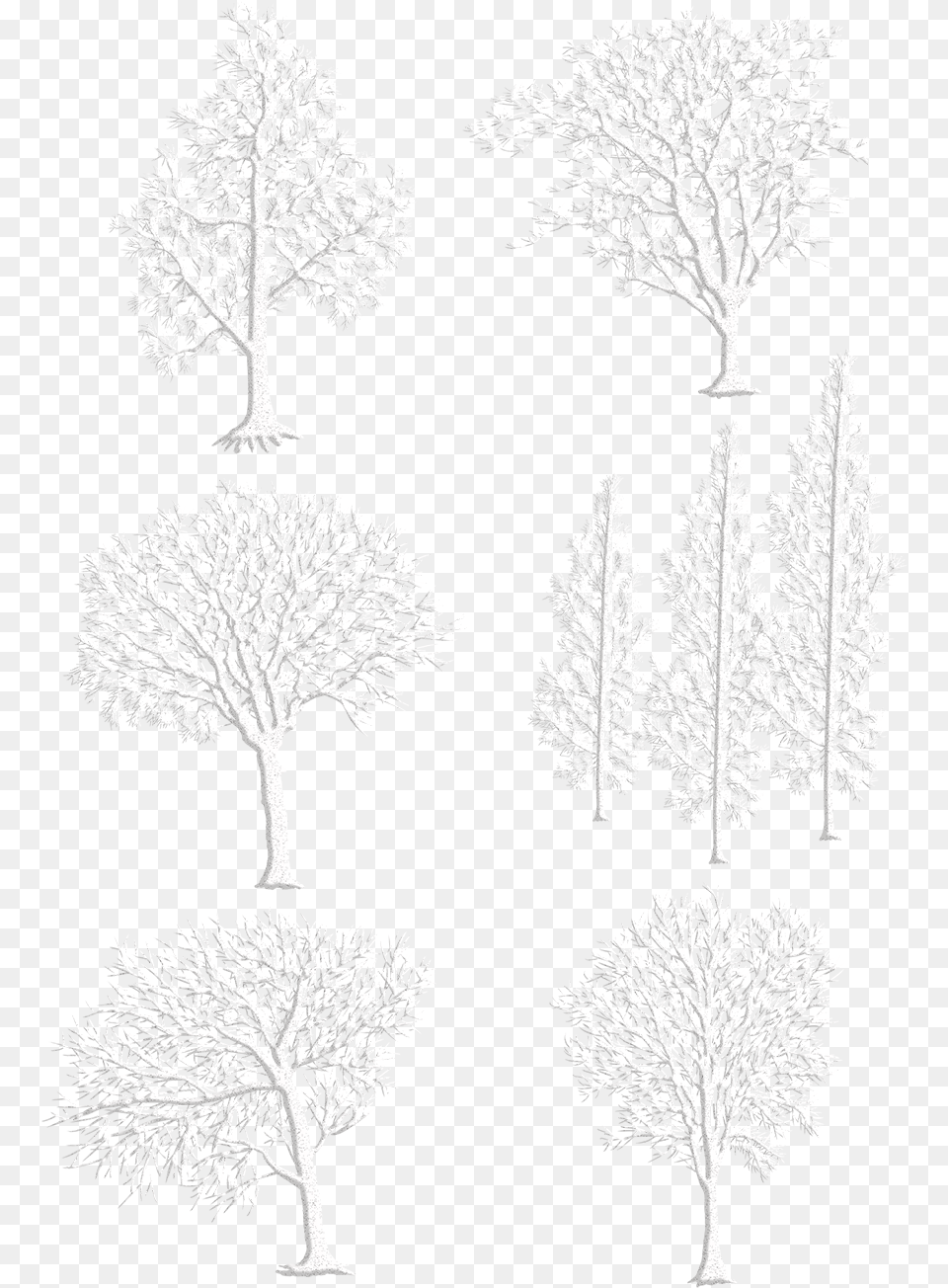 Original Hand Drawn Wind White Winter And Psd, Plant, Tree, Art, Outdoors Png