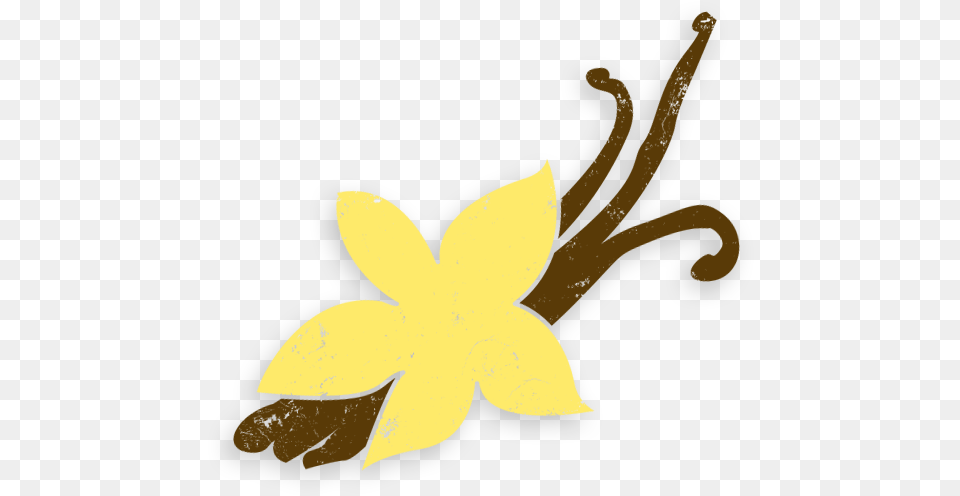 Original Icon Created By Amos Kofi From The Noun Project Illustration, Flower, Plant, Daffodil, Leaf Png