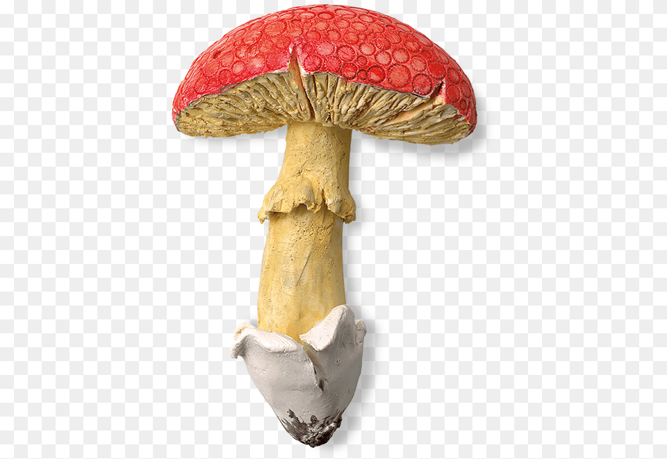 Original Mushroom Mushroom, Agaric, Amanita, Fungus, Plant Png