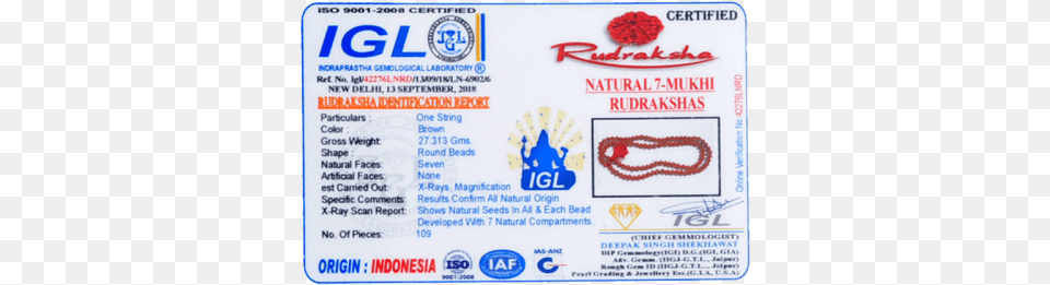 Original Six Face Rudraksha 6 Mukhi Rudraksh, Text, Document, Id Cards, Driving License Png