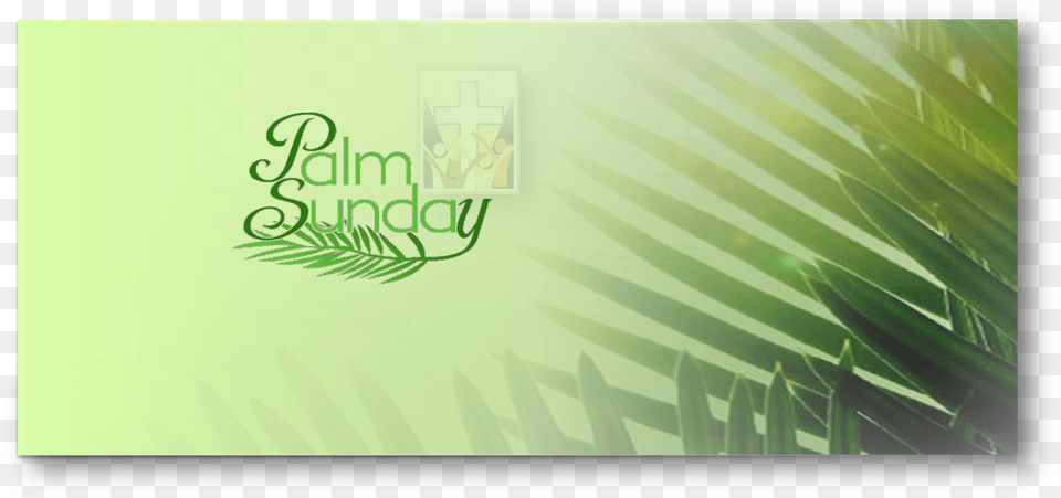 Original Size Is 1454 689 Pixels Palm Sunday Jesus Rectangle Magnet, Green, Leaf, Plant, Vegetation Png