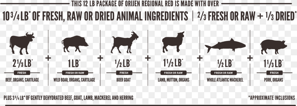 Orijen Regional Red Meatmath Formula And Cat Food Ingredients Orijen Original Dog Food Ingredients, Animal, Bear, Mammal, Wildlife Png Image