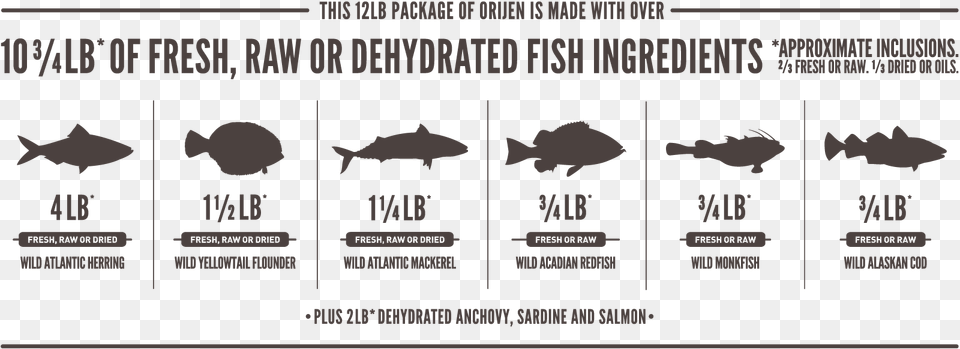 Orijen Six Fish Ingredients, Advertisement, Poster, Animal, Sea Life Free Png Download