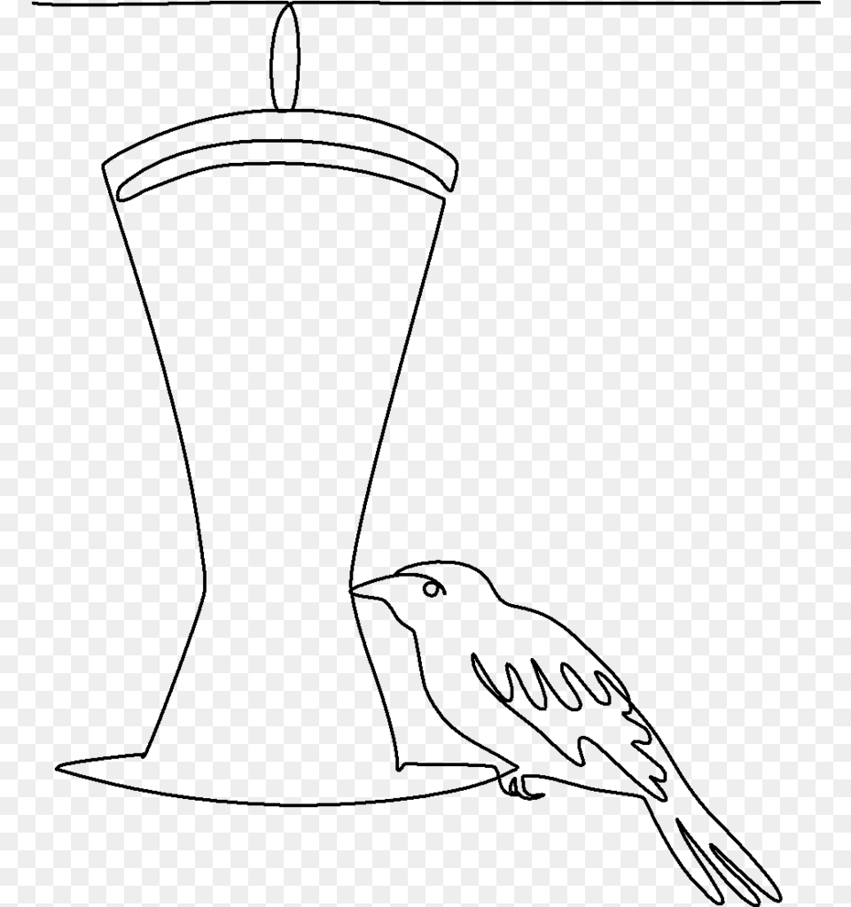 Oriole At The Hummingbird Feeder Quilting Pattern Sketch, Gray Png