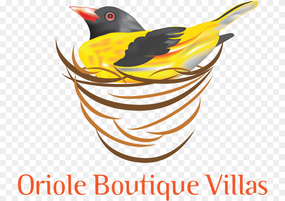 Oriole Boutique Villas Bentota Oriole Boutique Villas, Animal, Bird, Finch, Person Free Transparent Png