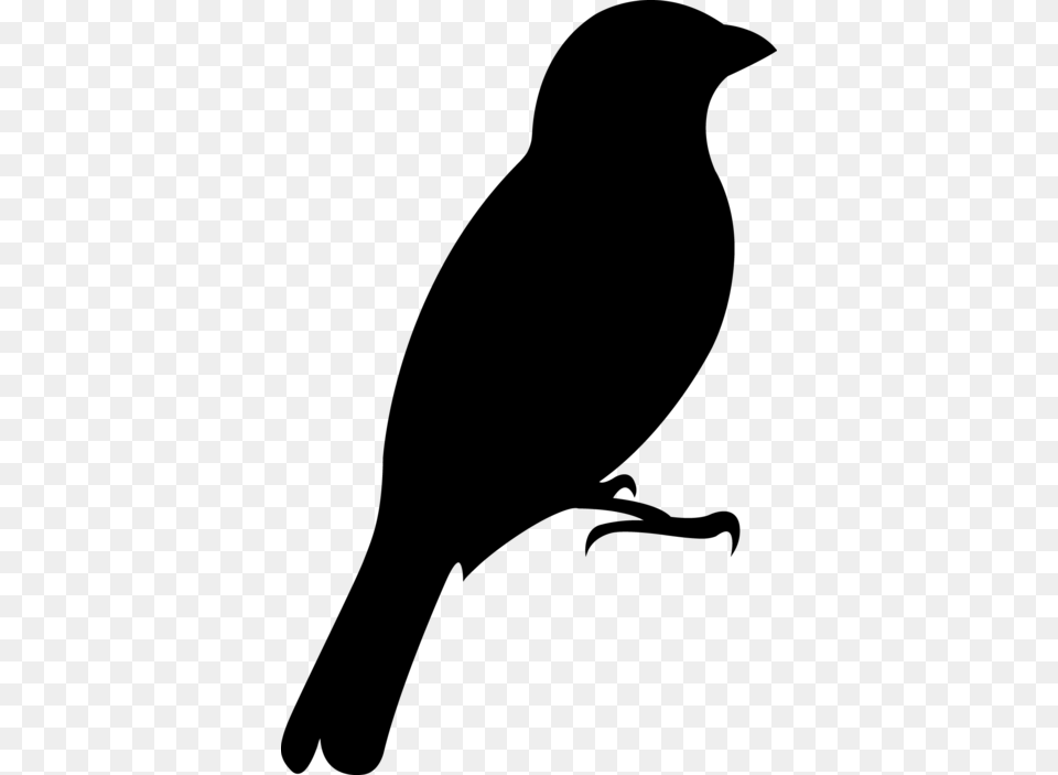 Oriole Publishing For Wind Quintet Woodwood Quintet Perching Bird, Gray Free Png