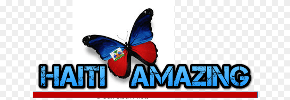 Orn Flag Of Haiti Waving With Republic Of Haiti, Animal, Butterfly, Insect, Invertebrate Free Png Download