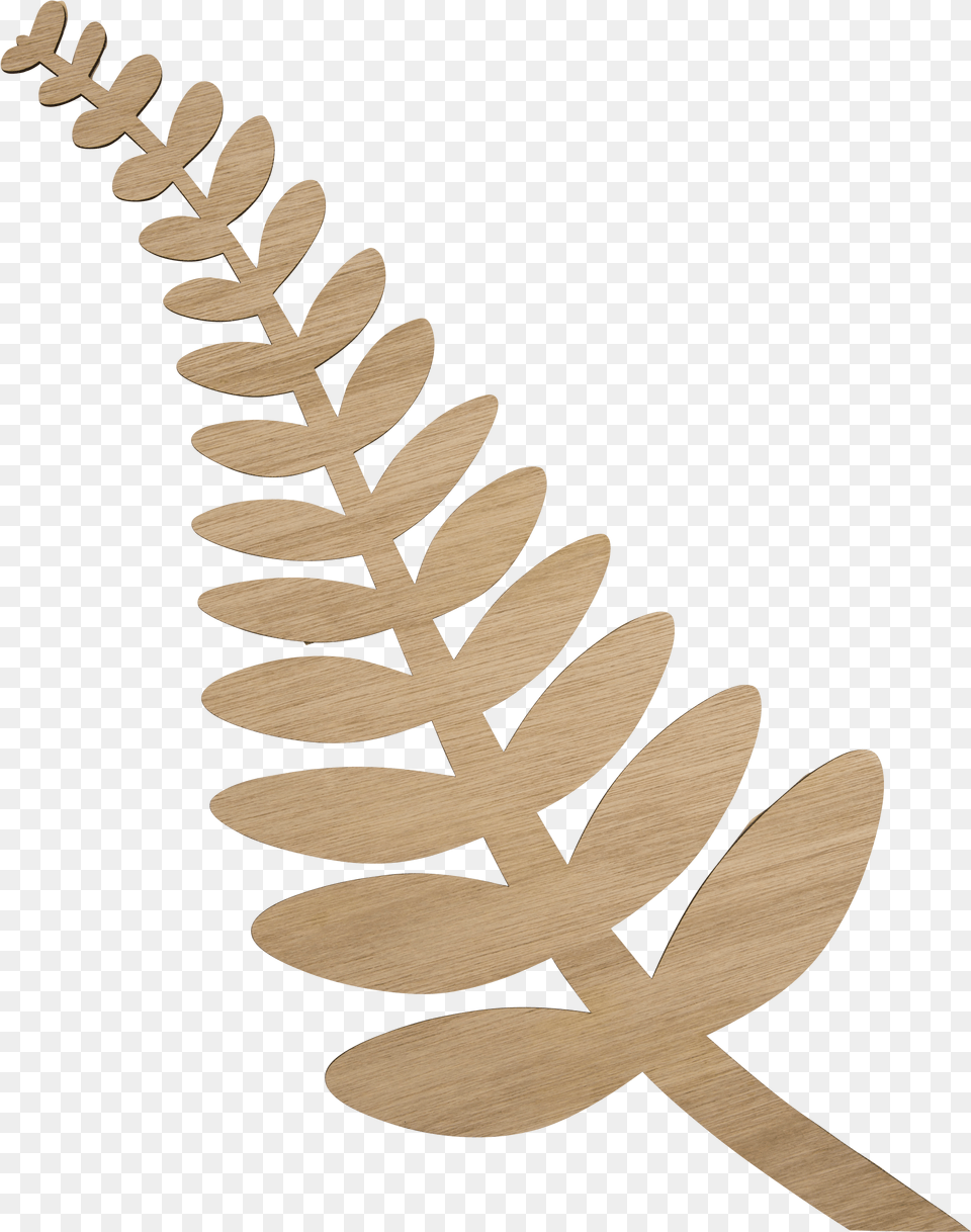 Orn Si Fn Oo Fern Png Image