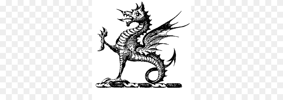 Ornament Dragon, Animal, Kangaroo, Mammal Free Png