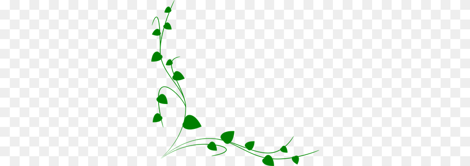 Ornament Art, Floral Design, Graphics, Green Png