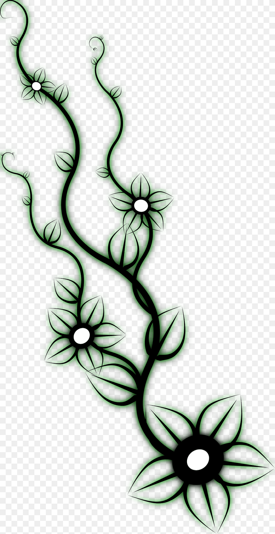 Ornament Clipart, Art, Floral Design, Graphics, Green Png