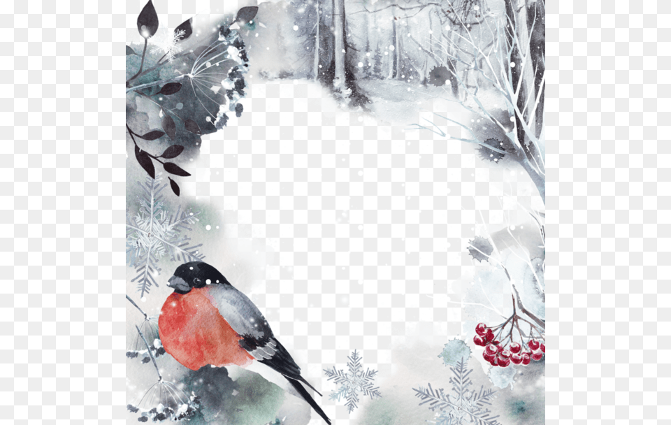Ornament Watercolor Painting, Animal, Bird, Finch, Outdoors Free Png