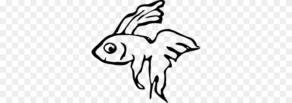 Ornamental Fish Gray Png Image