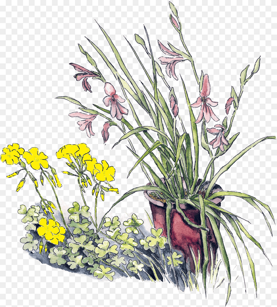 Ornamental Grass, Art, Floral Design, Flower, Flower Arrangement Png