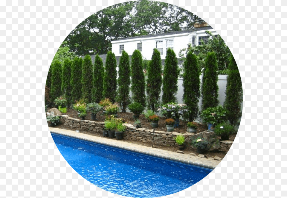 Ornamental Trees And Shrubs Landscaping Tree, Yard, Photography, Outdoors, Nature Png Image