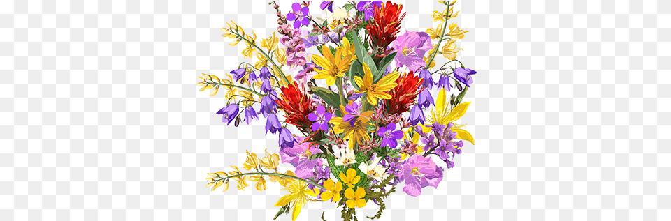 Ornate Floral Border Floral, Flower, Flower Arrangement, Flower Bouquet, Plant Png