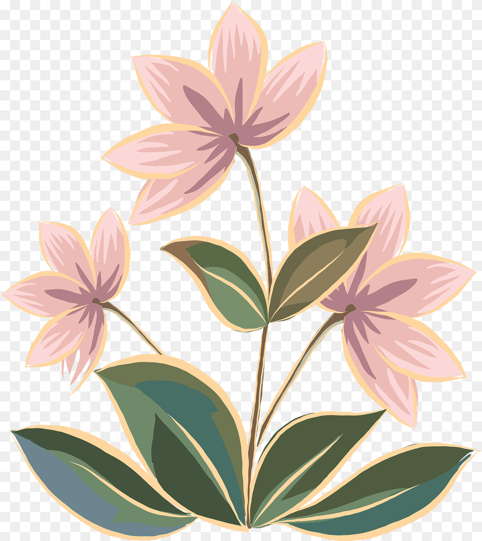 Ornate Floral Border Gentians, Art, Floral Design, Graphics, Pattern Free Transparent Png