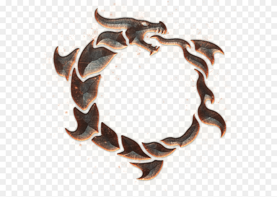 Oroboros Ouroboros Tattoo Snake Dragon Snake Tattoo Eso Ebonheart Pact Adult, Art, Bride, Female Free Transparent Png