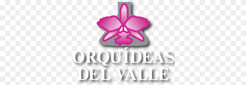 Orqudeas Del Valle Graphic Design, Flower, Plant, Jar, Petal Free Transparent Png