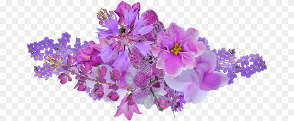Orqudeasblancas Orquideas Flores Flower Lilac Flower White Background, Plant, Purple, Flower Arrangement, Flower Bouquet Free Png Download