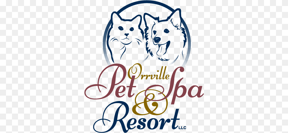 Orr Pet Spa Header Menu Bvvc Logo Shot Glass, Animal, Mammal, Husky, Dog Png