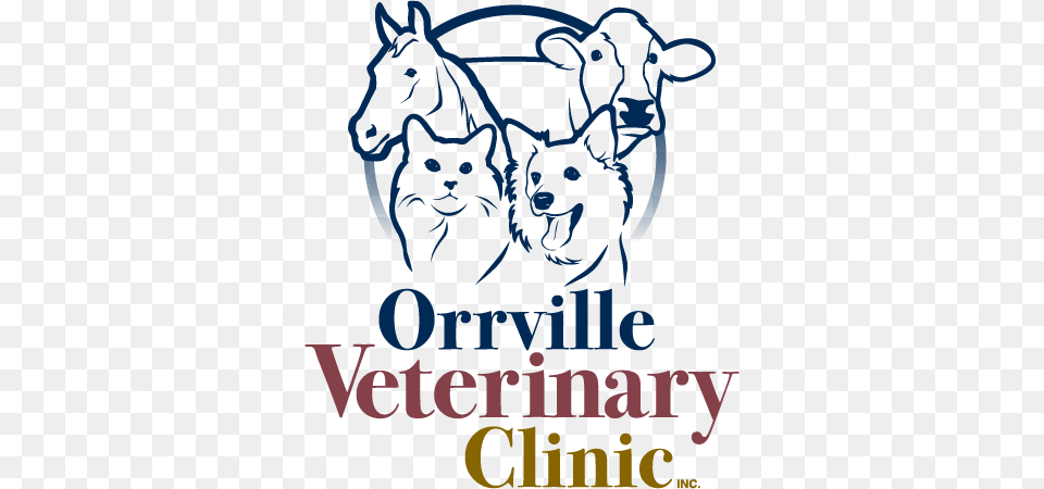 Orr Vet Clinic Header Menu Bvvc Logo Shot Glass, Animal, Person, Mammal, Pet Free Transparent Png