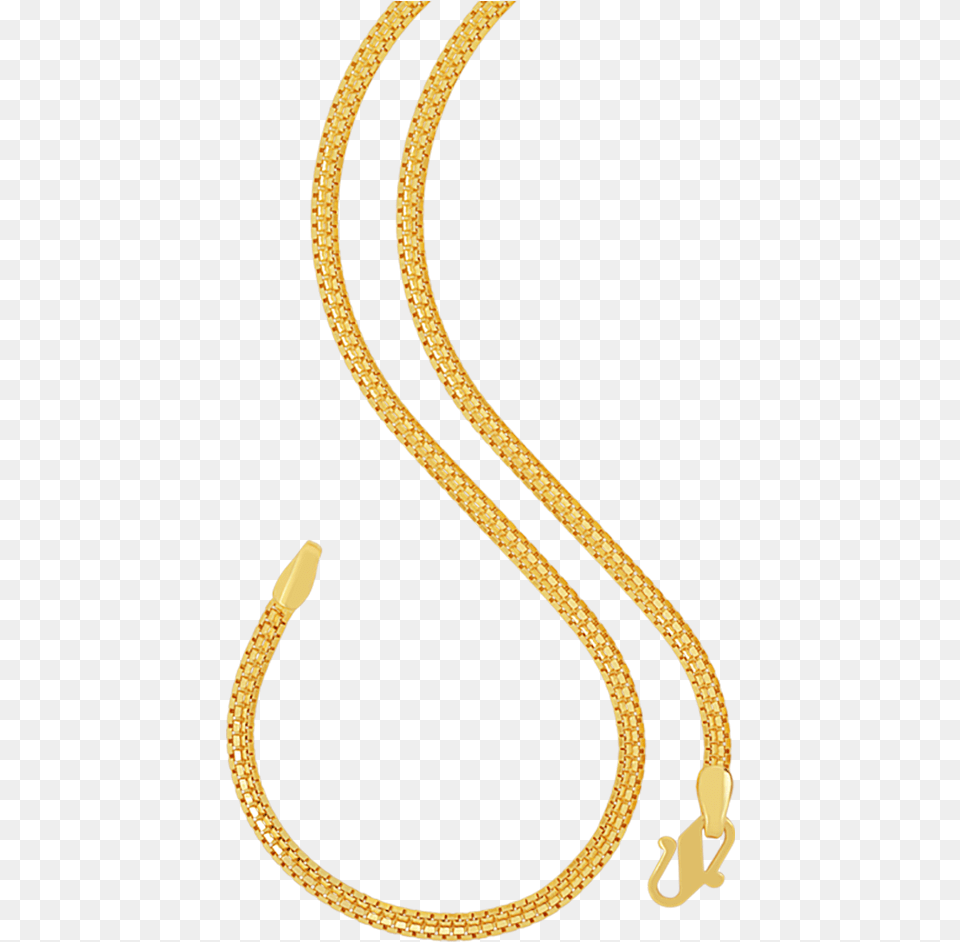 Orra Gold Chain, Accessories, Jewelry, Necklace, Smoke Pipe Free Transparent Png