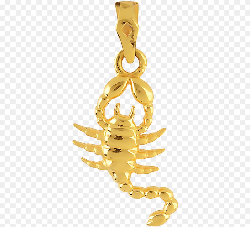 Orra Gold Scorpio Pendant Scorpio Pendant Gold, Smoke Pipe, Animal Free Png Download