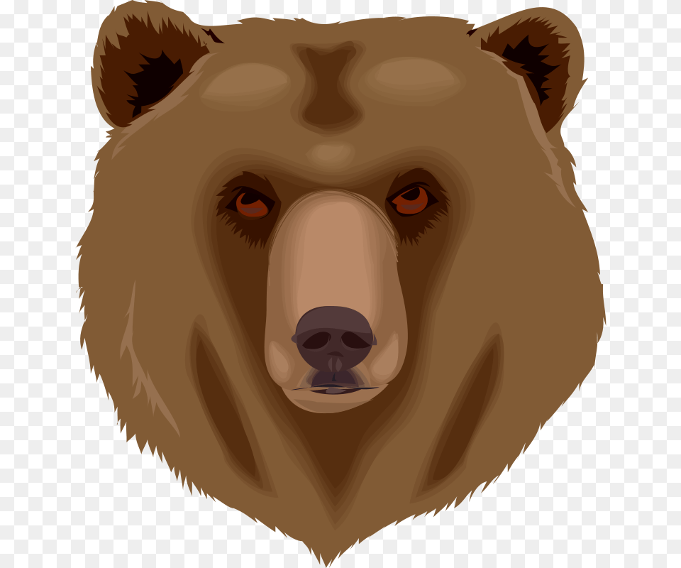 Orso Architetto Frances, Person, Animal, Bear, Brown Bear Png