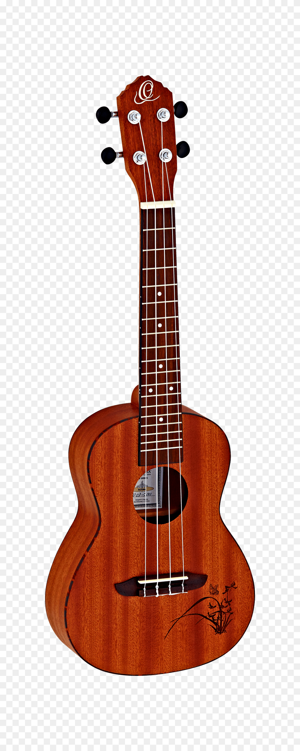 Ortega Ukulele Concert Mj Guitars, Bass Guitar, Guitar, Musical Instrument Free Png