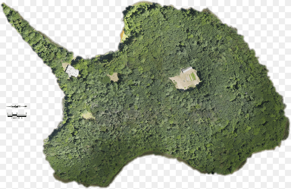 Orthomosaic Map Moss Png