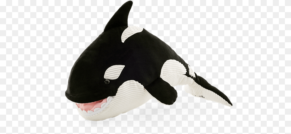 Ory The Orca Ory The Orca Scentsy Buddy, Animal, Mammal, Sea Life, Whale Free Transparent Png