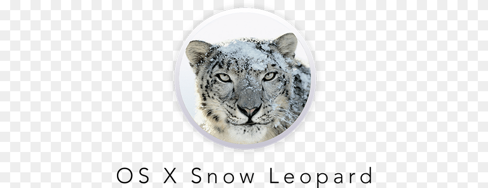 Os Snowleopard Snow Leopard Mac Os, Animal, Mammal, Panther, Wildlife Free Png