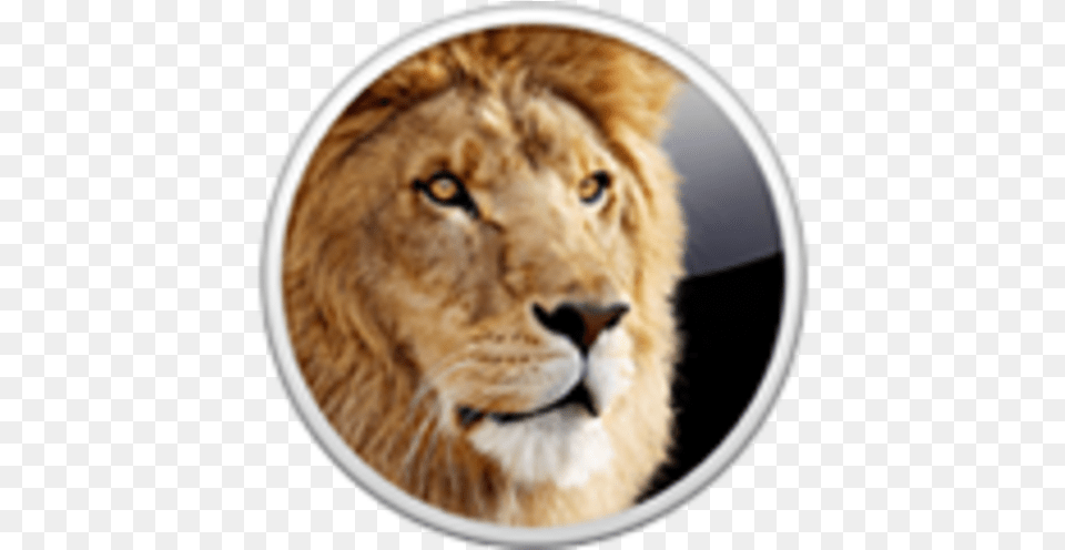 Os X Lion Mac Os X Lion Icon, Animal, Mammal, Wildlife, Canine Png Image