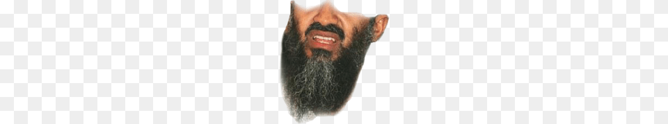 Osama Bin Laden, Beard, Face, Head, Person Free Png Download