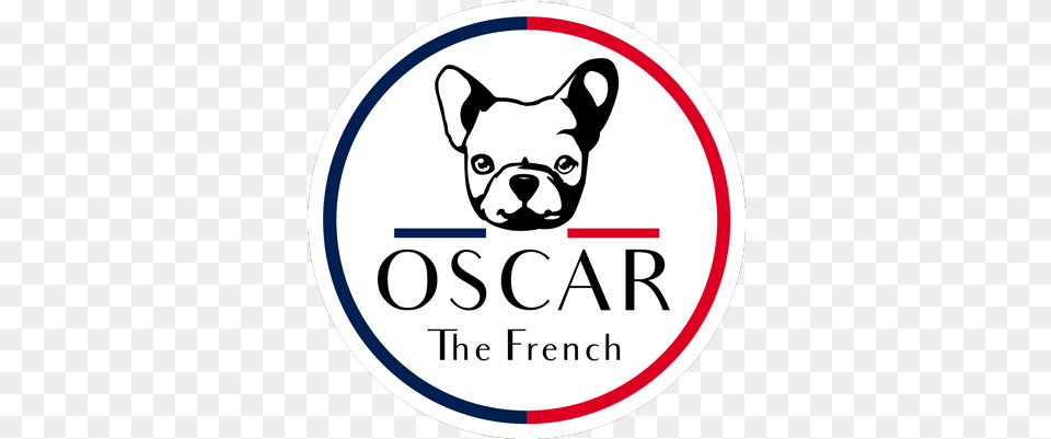 Oscar The French U2013 Oscarthefrench French Bulldog, Animal, Canine, Dog, Mammal Free Png Download