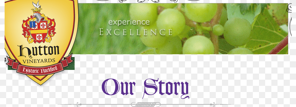 Osheader Grape, Food, Fruit, Grapes, Plant Free Transparent Png